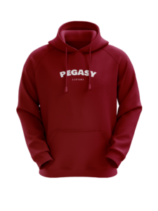 Pegasy - Hoodie Brodé 2022 – Image 2