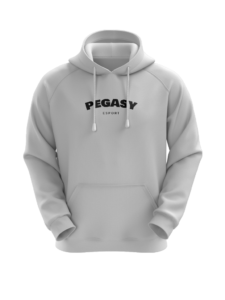 Pegasy - Hoodie Brodé 2022 – Image 3