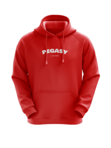 Pegasy - Hoodie Brodé 2022 – Image 4