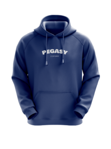 Pegasy - Hoodie Brodé 2022 – Image 5