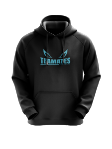 Teamates Gaming - Hoodie brodé