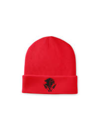 PTM– Bonnet