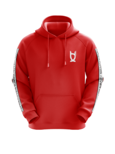 LDV Esport - Hoodie 2023 – Image 3