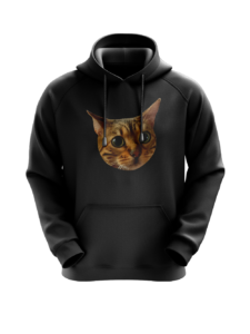 Bouddhiste - Hoodie