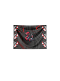 Big Coqs – Drapeaux – Image 2