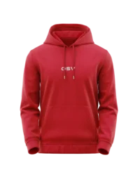 OSV – Hoodie Brodé – Image 2