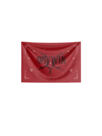 OSV – Drapeaux 2026 – Image 3
