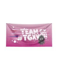 Team GX – Drapeaux Pink 2026 – Image 2